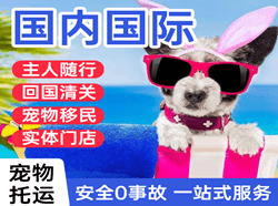乌审旗嘎鲁图空运公司国际宠物托运 【国